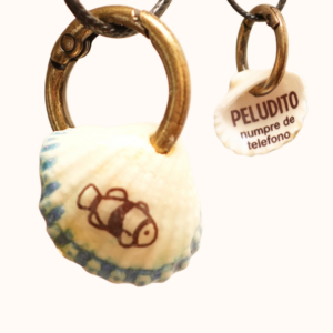 Identificativo conchita